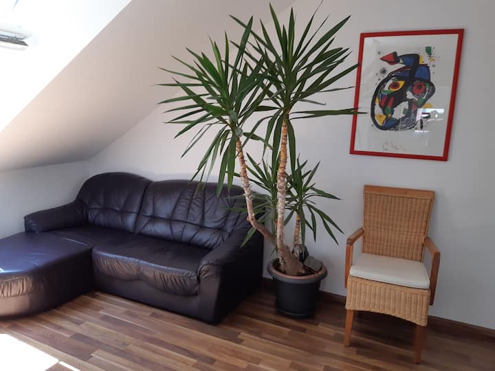 Tolle Wohnung In Zentraler Lage In Neu-ulm - Ulm