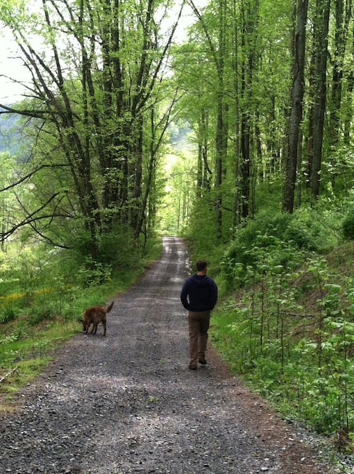Our driveway is different with each season and leads to easy hikes along Sugar Creek
