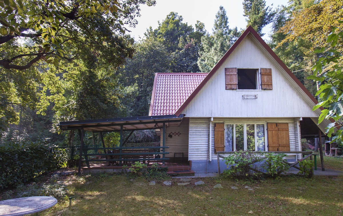 The exterior of a charming two-story house is showcased, surrounded by lush greenery. The wooden shutters add character to the white-walled structure. A covered porch with seating is visible, providing a shaded area for outdoor relaxation amid the serene forested setting.