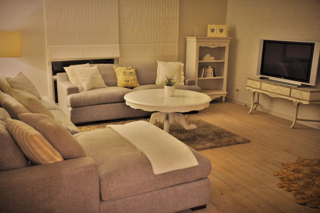 Living / Lounge Area