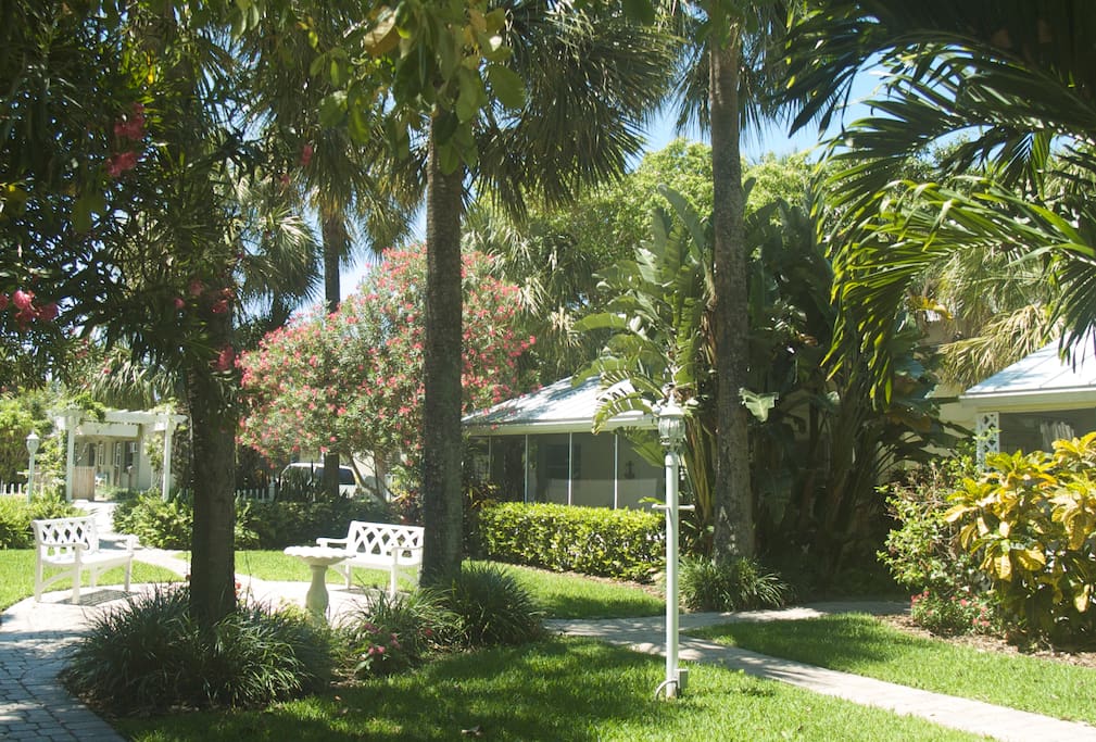 King Studio Cottage