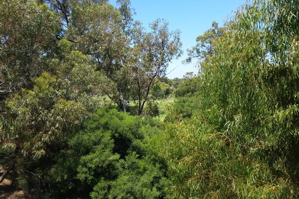 View from upstairs Master Balcony