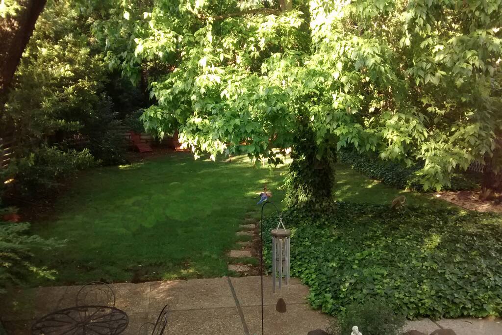 Back Yard, adjacent to Guest House