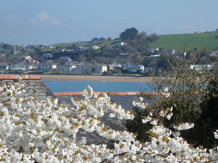 Fig Tree Cottage, Appledore Houses for Rent in Appledore, Devon