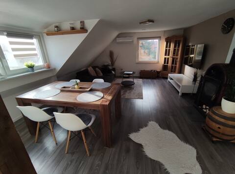 Cozy apartment with good connection to Nuremberg