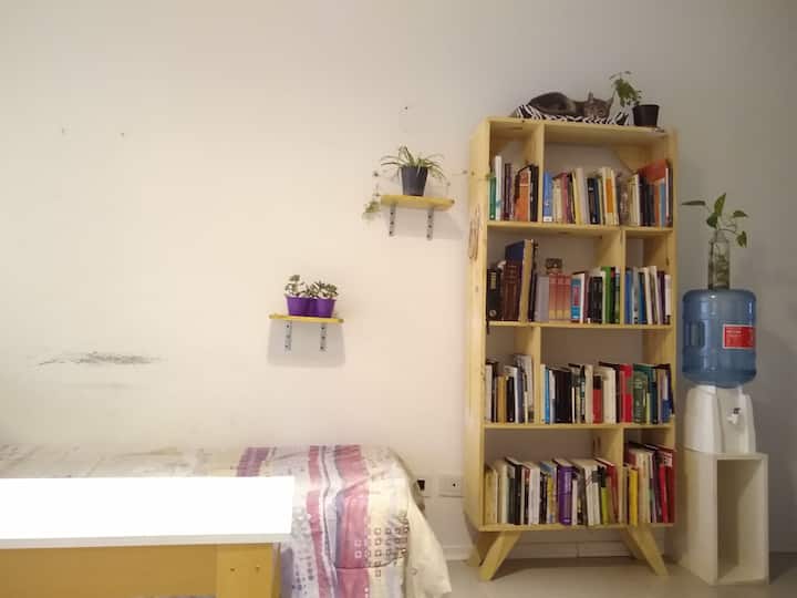 Двухкомнатная квартира в Tigre