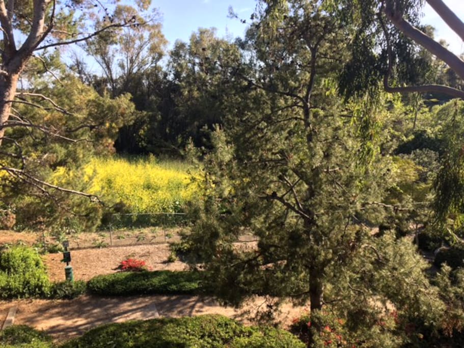 Picnic Area view from Balcony