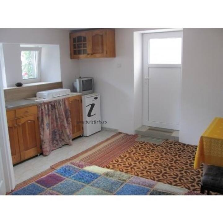 Cool 1 Bedroom Traditional Studio - Szováta