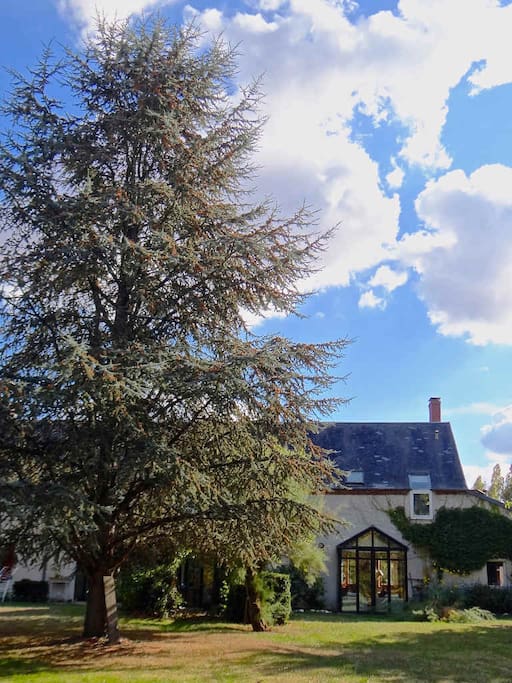 Vue sur le gite coté jardin
