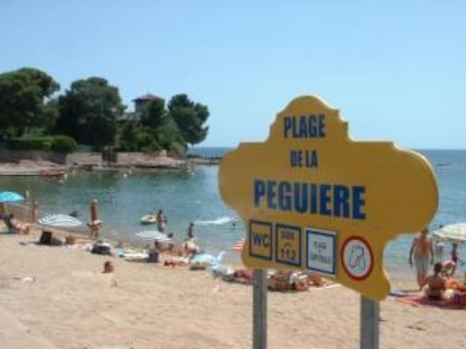 Plage à 100 m du studio