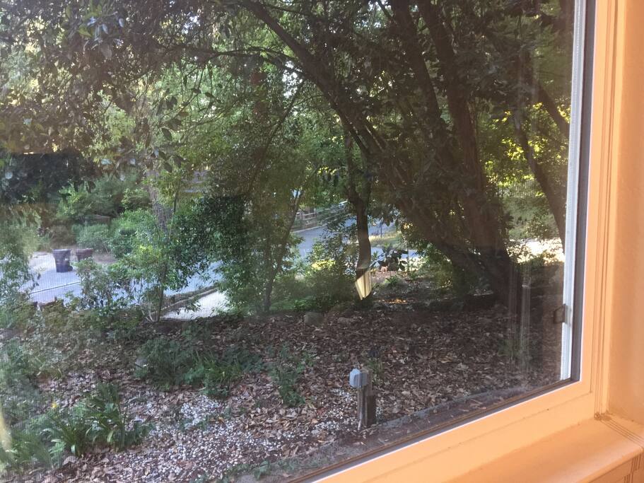 View out the window