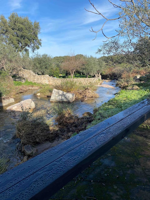 Beirã and Marvão Views, Peace in the Countryside