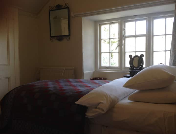 Soba s drugim blizancima