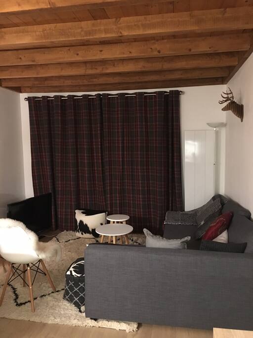 salon avec TV 2 baies vitrées et 2 balcons
