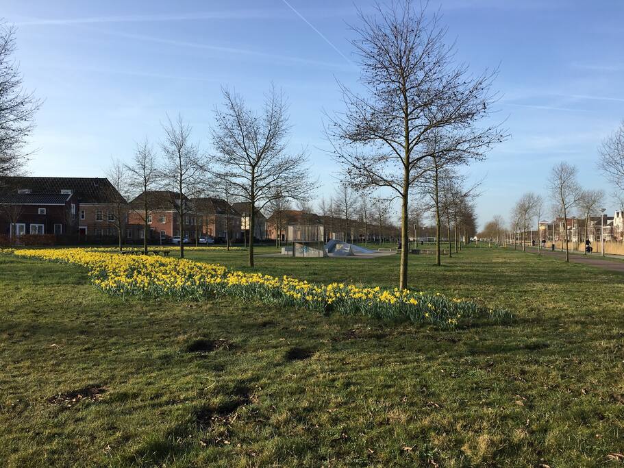 The small park in front of our house