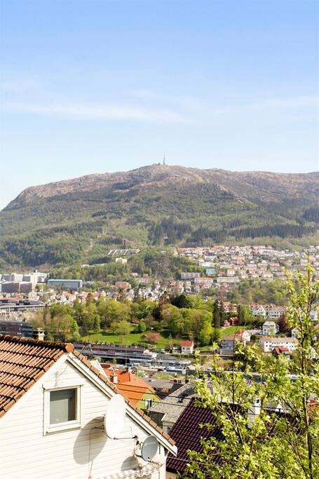 Great view from house