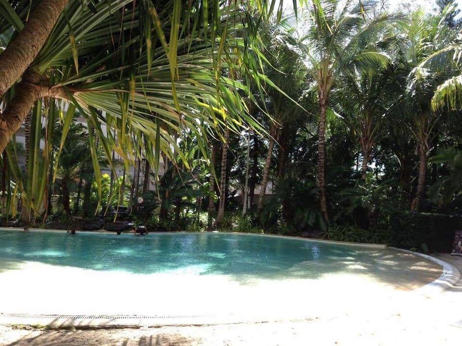 Swimming pool in the building