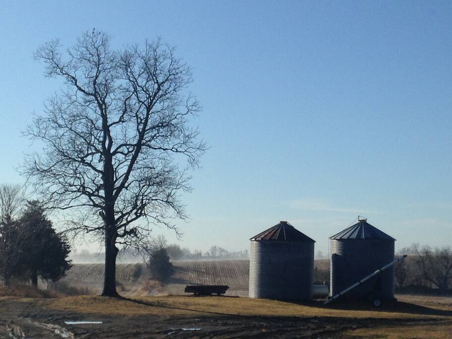 A beautiful fall morning on our farm