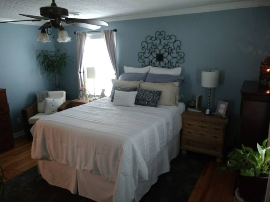 Cozy Master Bedroom