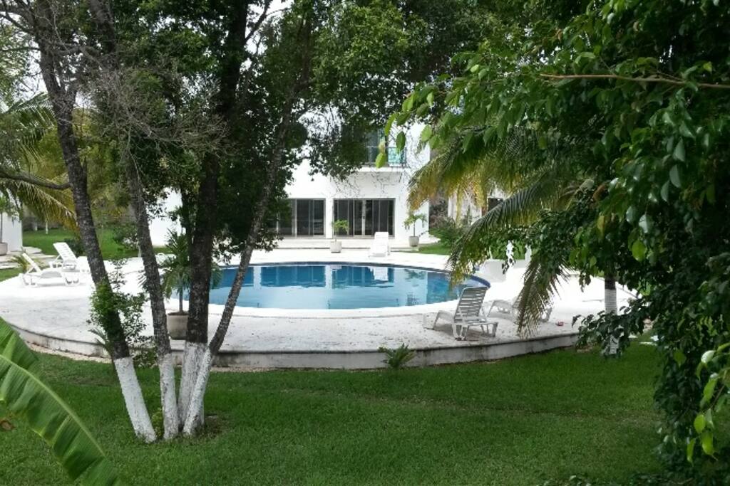 Beautiful round swimming pool in the middle of the property