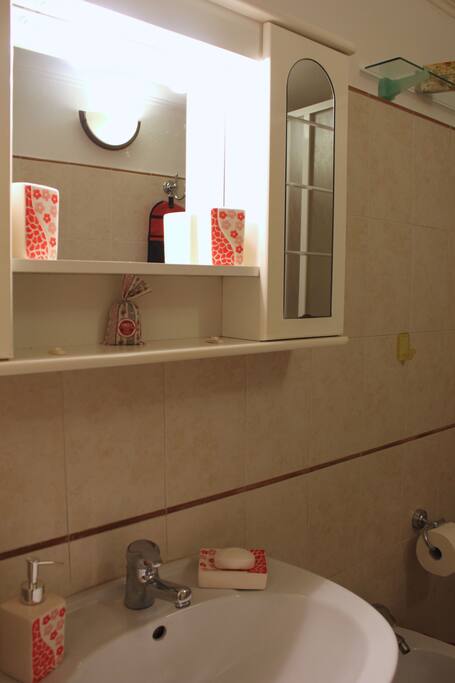 The bathroom
