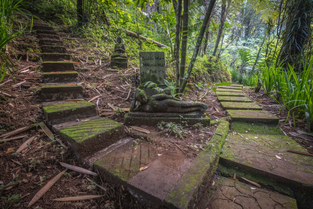 Garden paths throughout the plantation