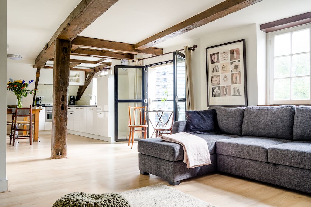 Spacious family apartment