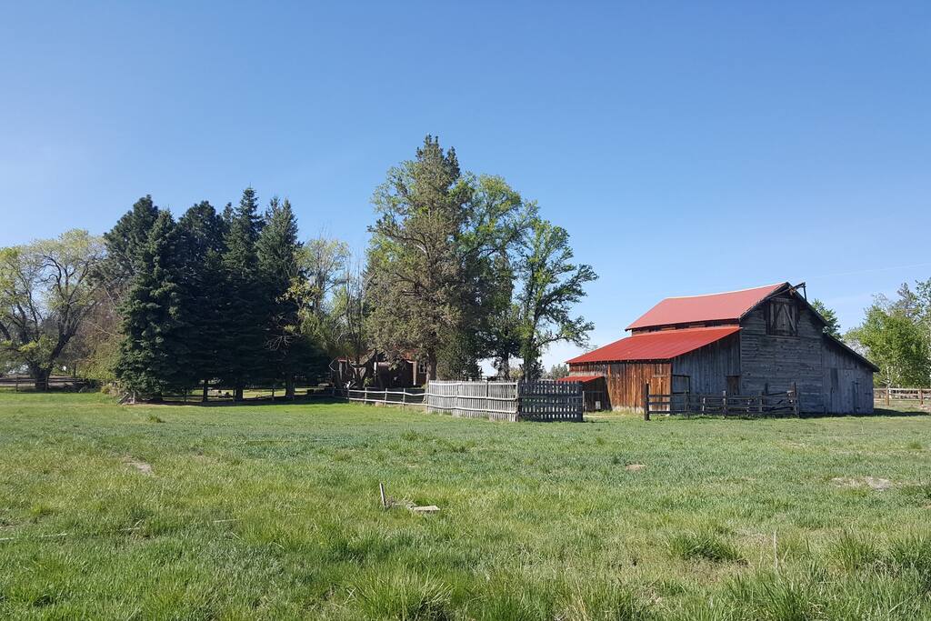 Spring 2016 shot from north looking south back at barn.