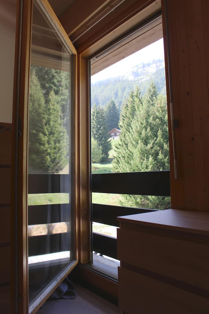 ห้องนอนทั้งสองห้องมีวิวด้านหลังของภูเขาต้นไม้และเทเลคาบีนจนถึงปาสเดอไมเบร