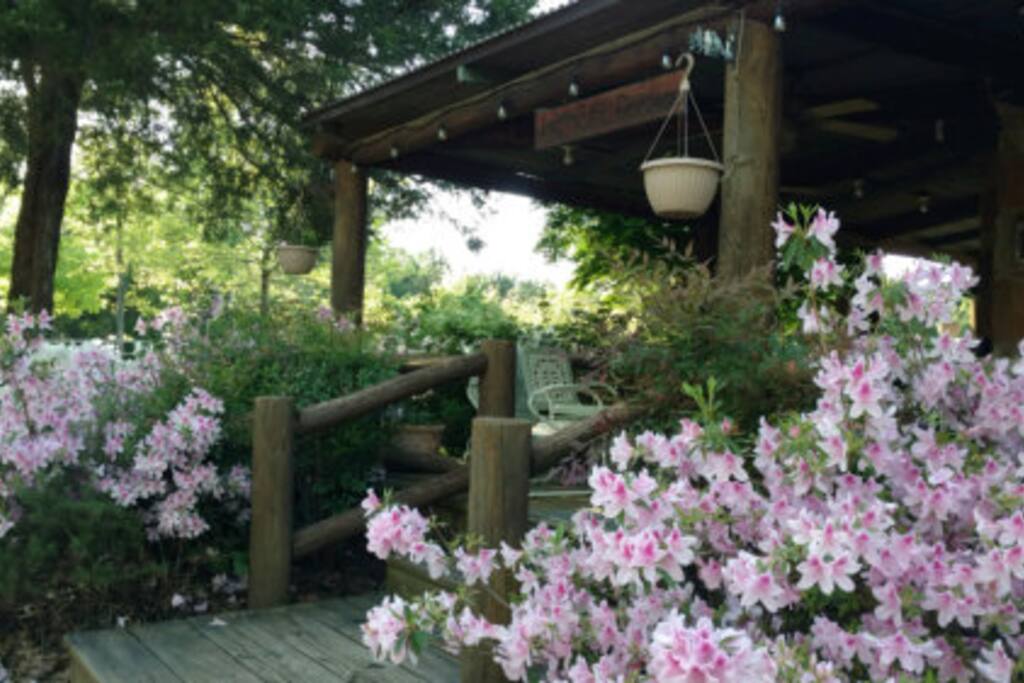 Entrance to Bird Cottage in Spring