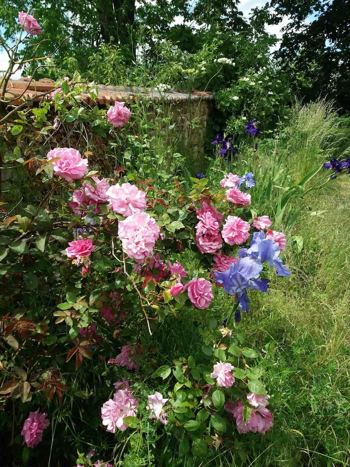 La Maison de Rose