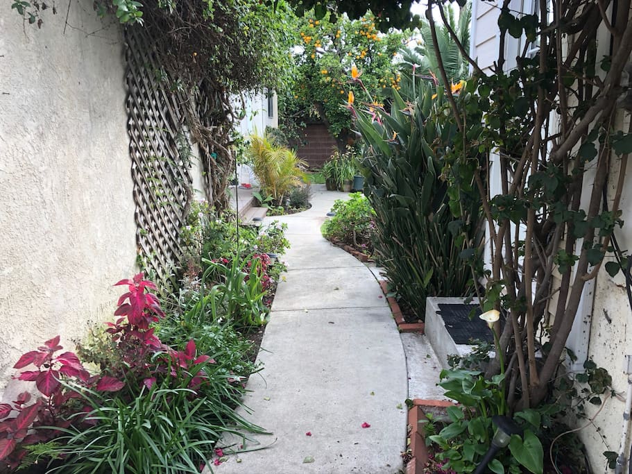 Walk-way to the Studio