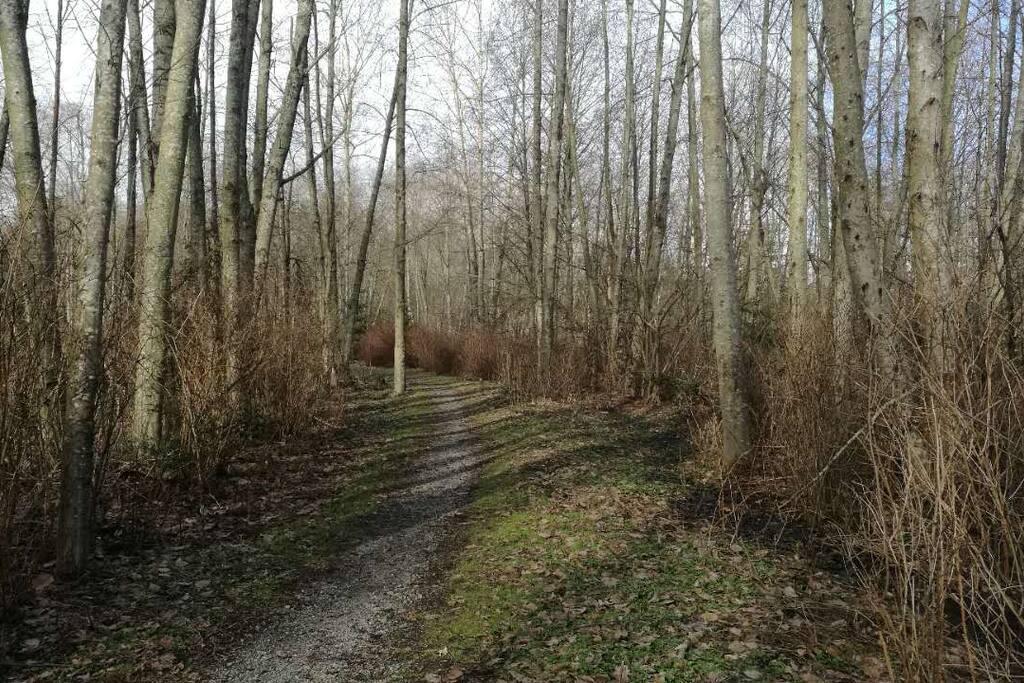 Semiahmoo Trail