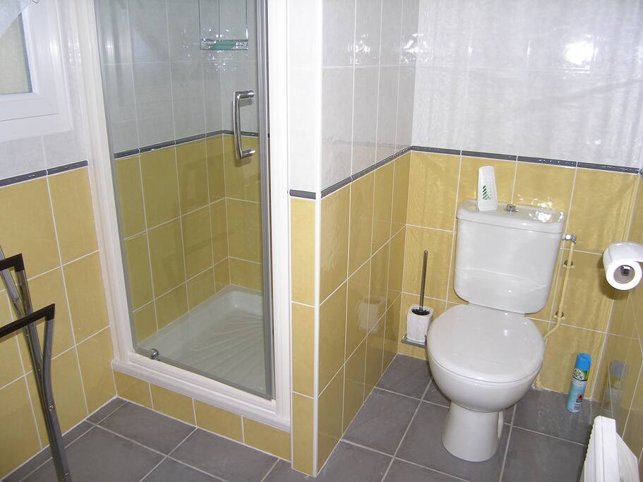 Salle d'eau du bas : douche , lavabo , wc