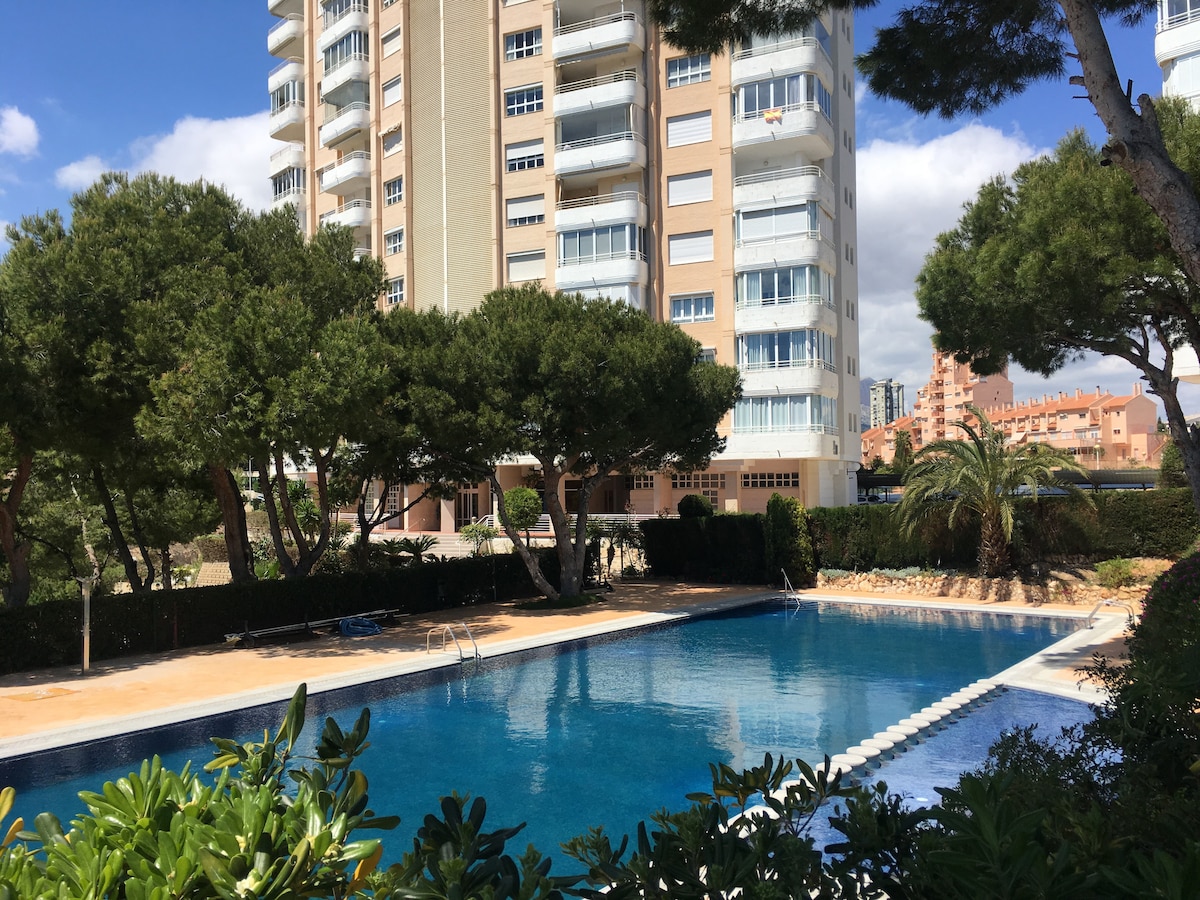 A serene pool area is framed by lush greenery and well-maintained landscaping. Towering trees provide shade, and the clear blue water reflects the bright sky. Surrounding buildings are visible, showcasing a harmonious blend of nature and urban architecture.