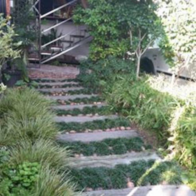 path to front door