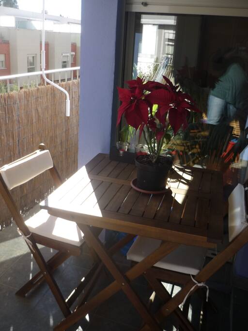 Terraza 2
