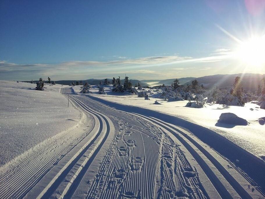 Venabygdsfjellet have 140 km skitracks
