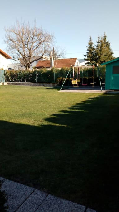 Backyard Garden