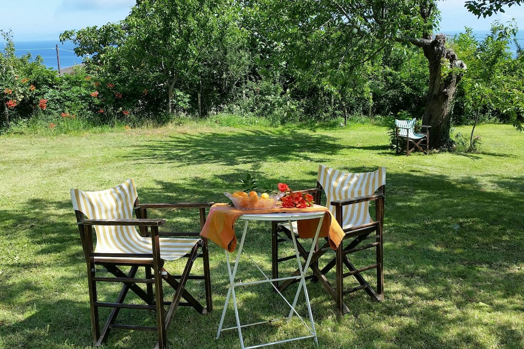 Garden sitting Area