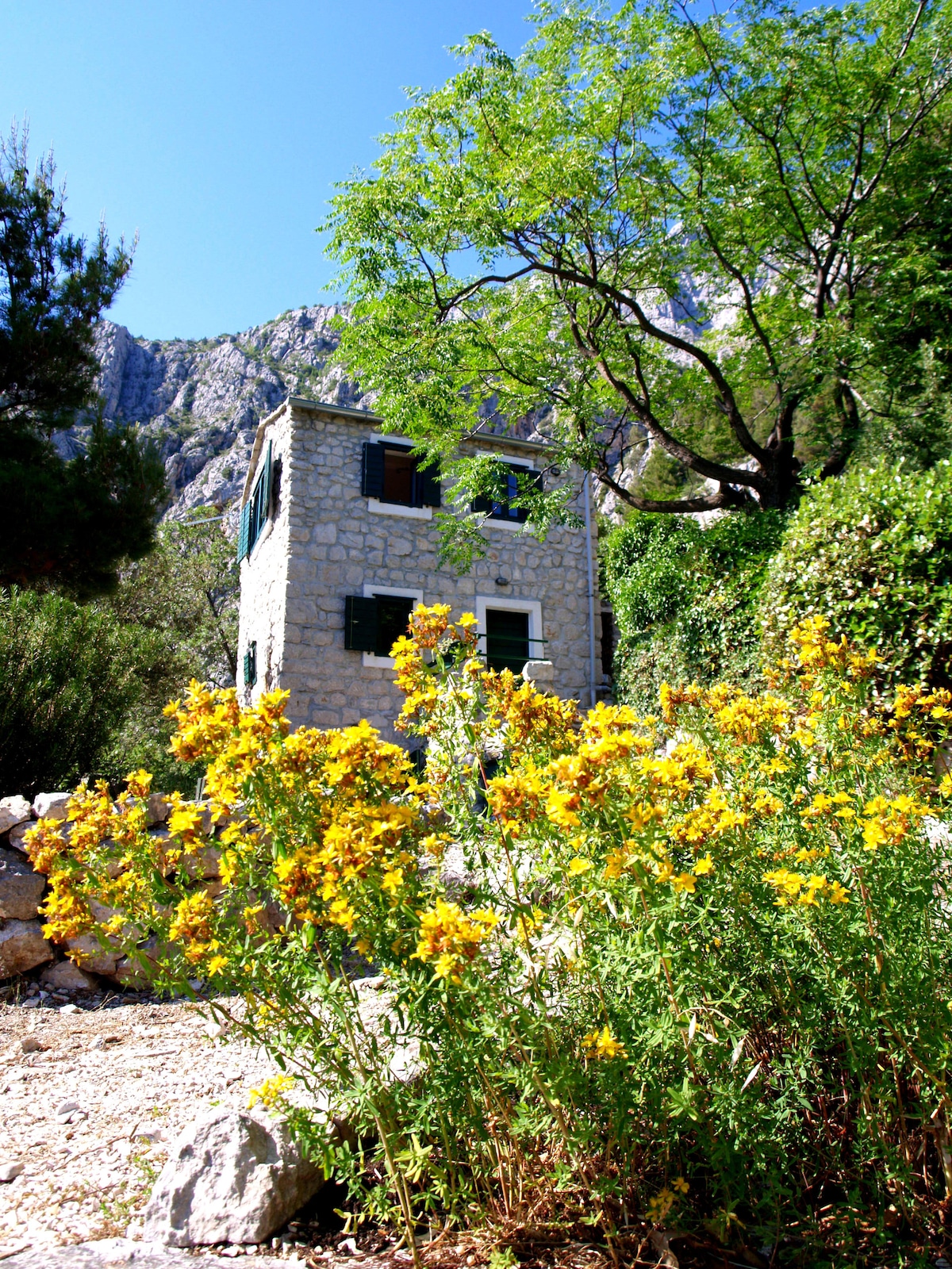 A stone house is set against a mountainous backdrop, surrounded by greenery. Bright yellow flowers are in the foreground, adding a touch of color to the natural landscape. The building features dark green shutters on its windows, blending harmoniously with the environment.