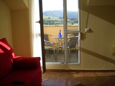 BRIGHT PENTHOUSE IN MERUELO.