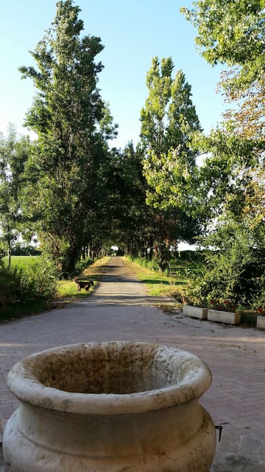 viale di accesso alla casa