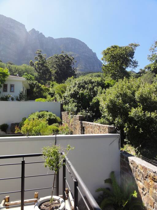 View of Table Mountain and Newlands Forest