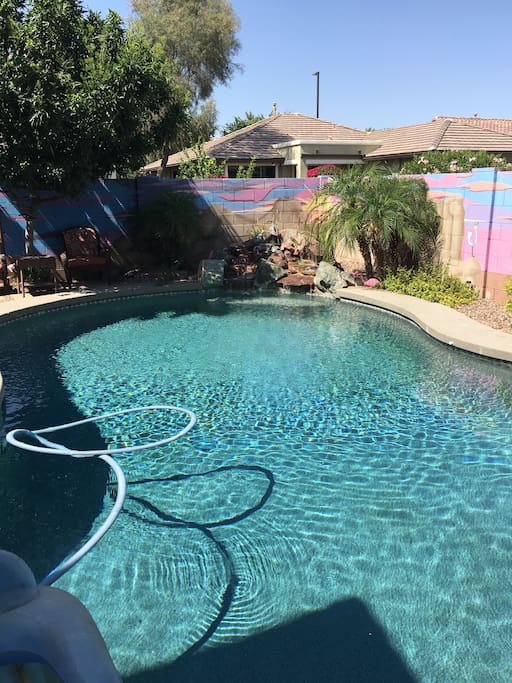 Backyard pool
