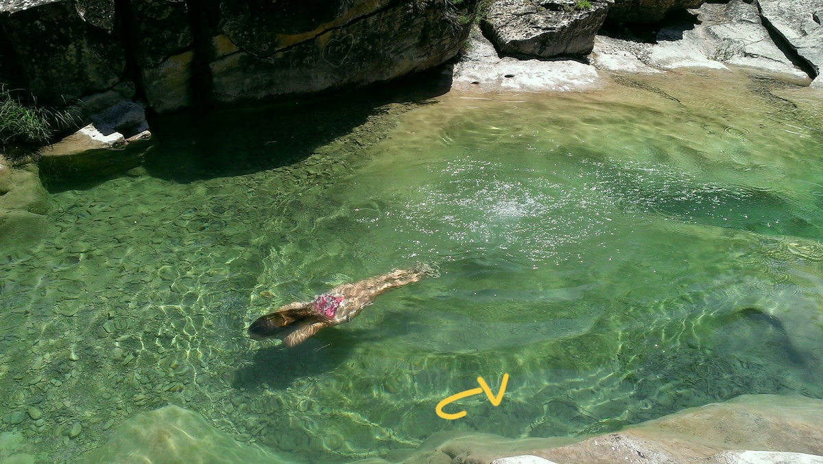 A clear pool of water is depicted, surrounded by smooth rocky edges. Sunlight reflects off the surface, showcasing varying hues of green and blue. The tranquil water invites relaxation, while a person is seen floating serenely, adding a sense of calm to the natural setting.