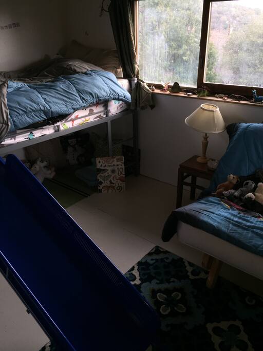 loft room twin and a futon that pulls out to double