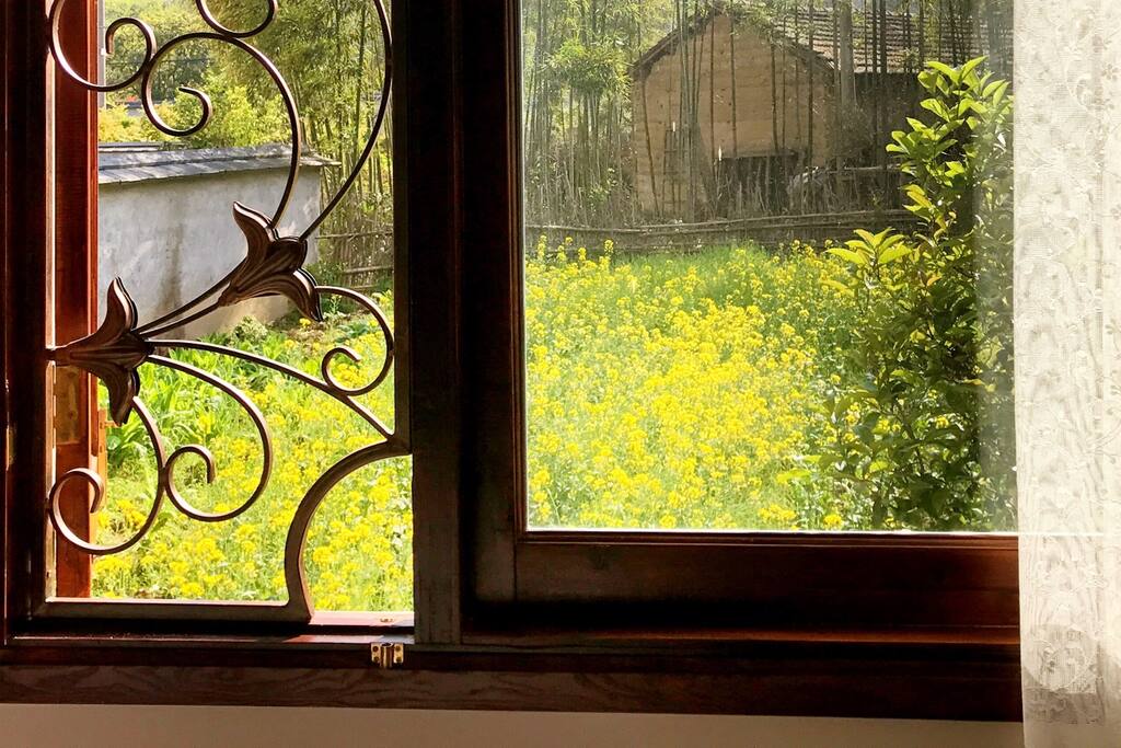 小木屋窗外的风景