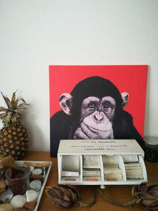 Our personal mascotte. Our tea guardian