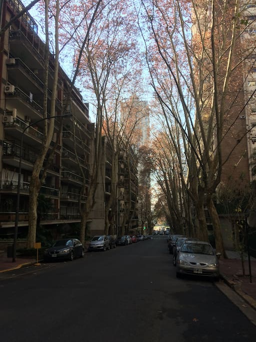 Calle tranquila